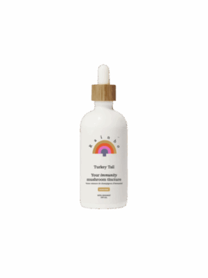 Turkey Tail Extract Tincture