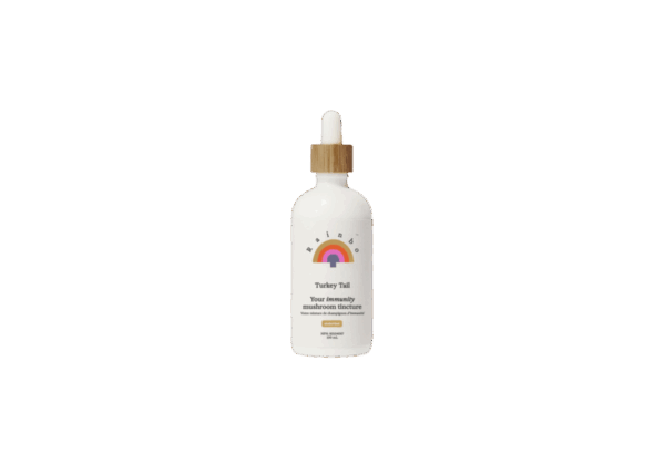 Turkey Tail Extract Tincture